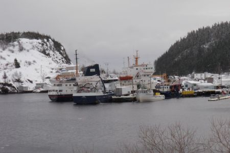 Boats in Pools Cove Harbour. Photo courtesy of Jennifer Caines.JPG